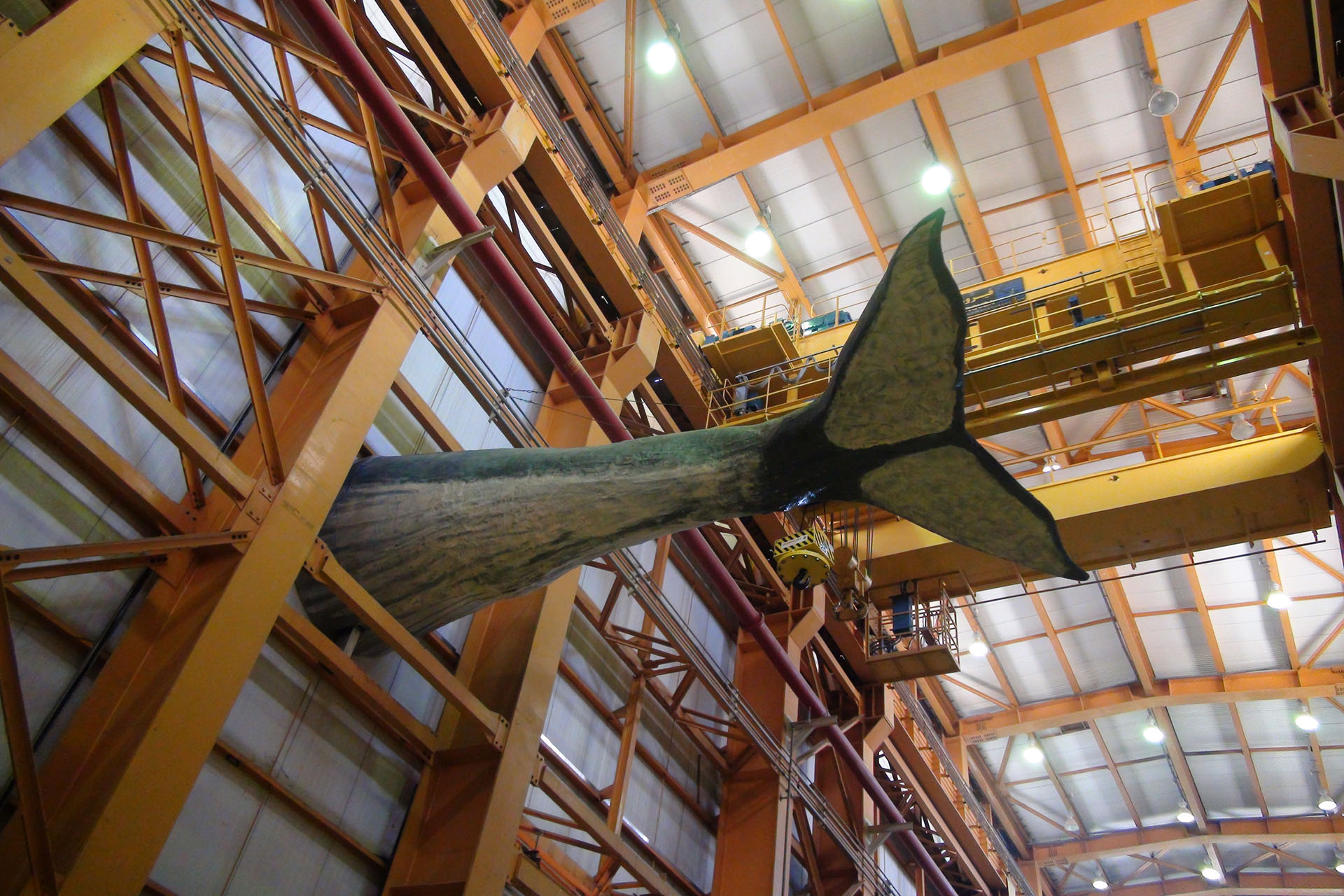 مجسمه نهنگ آبی در نیروگاه رودشور نصب شد